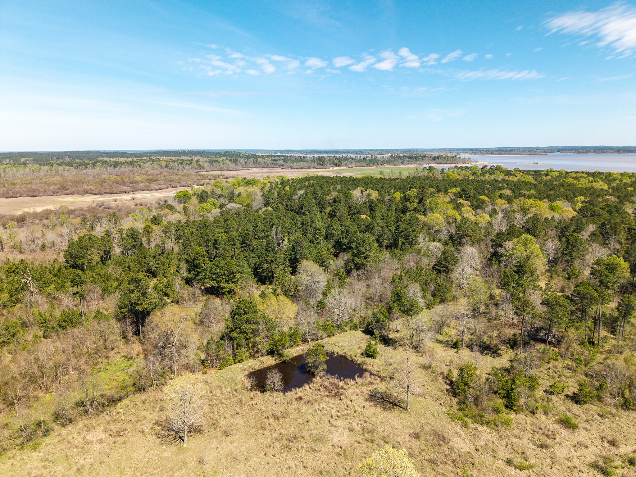 621 Herman Nerren Road Huntington, TX 75949 - Photo 7 of 10