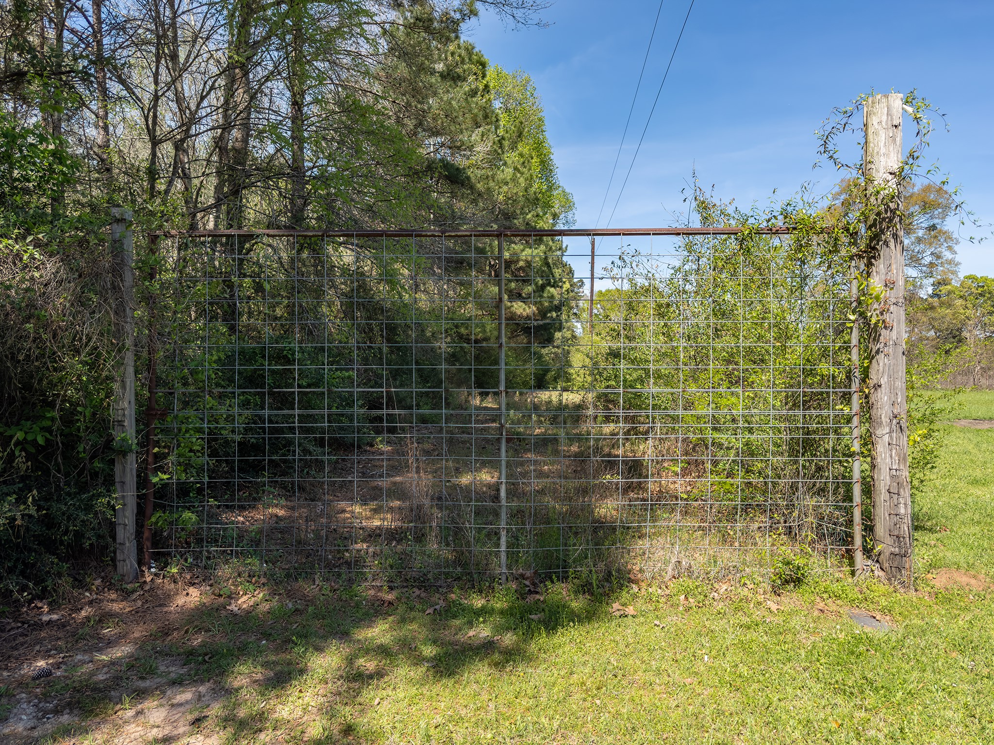 621 Herman Nerren Road Huntington, TX 75949 - Photo 8 of 10