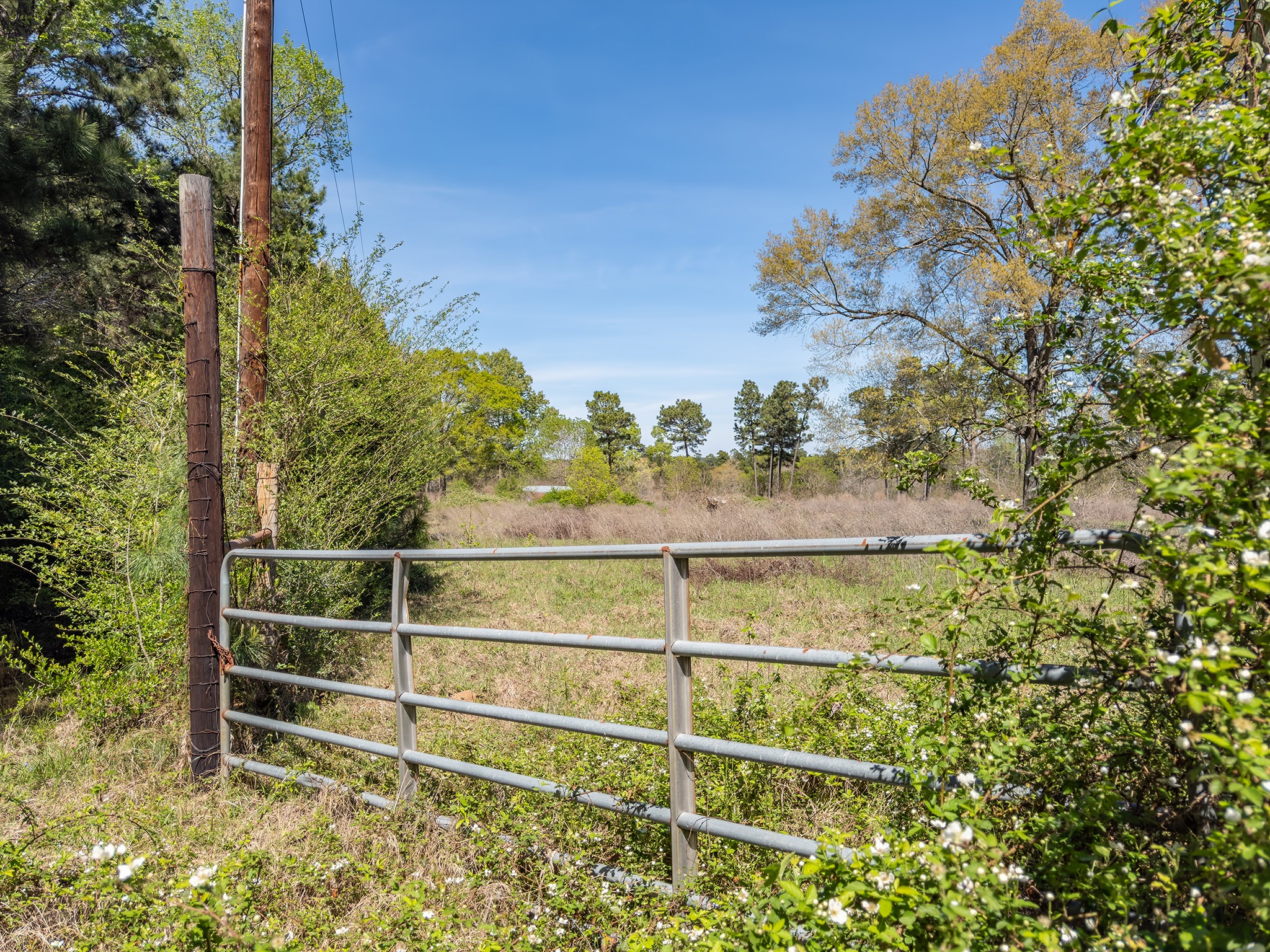 621 Herman Nerren Road Huntington, TX 75949 - Photo 9 of 10