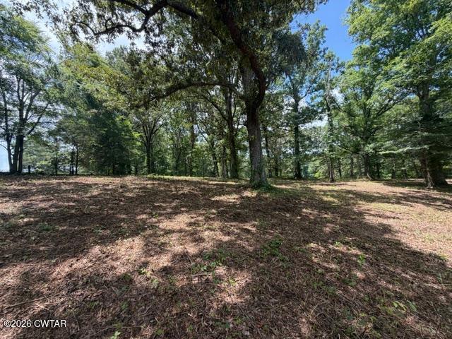 0 McBride Cemetery Road Sardis, TN 38371 - Photo 8 of 54 thumbnail (9)