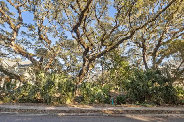 a view of a yard with a tree