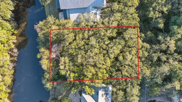 a view of a tree in a yard