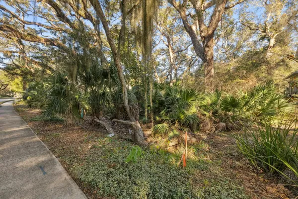 a view of a yard with a trees