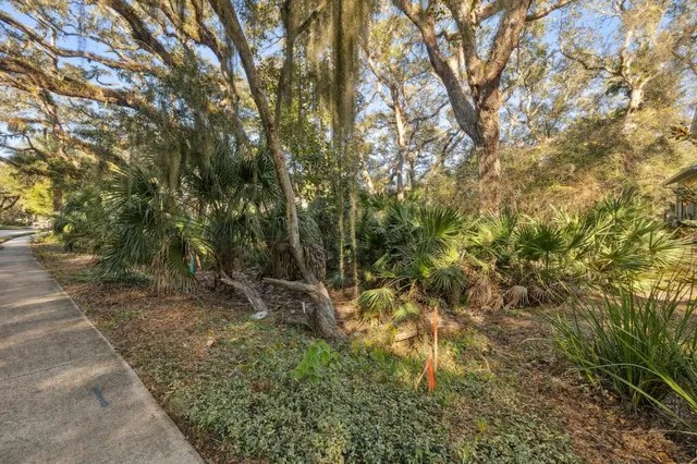 a view of a yard with a trees