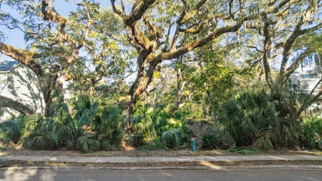 a view of a house with a yard and tree s