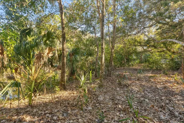 a view of a yard with large trees