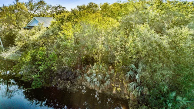 a view of a yard with plants and trees