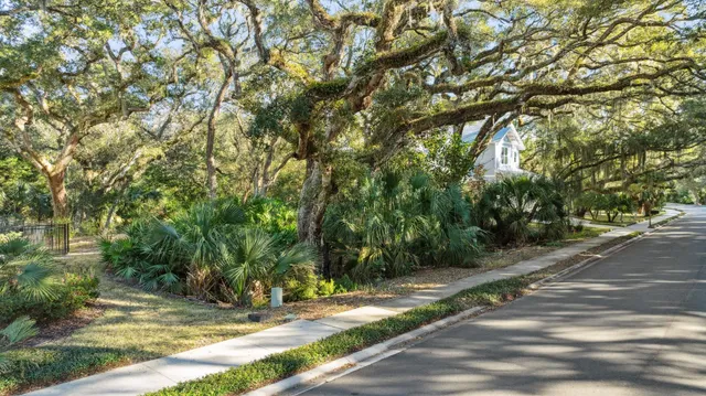 a view of backyard space
