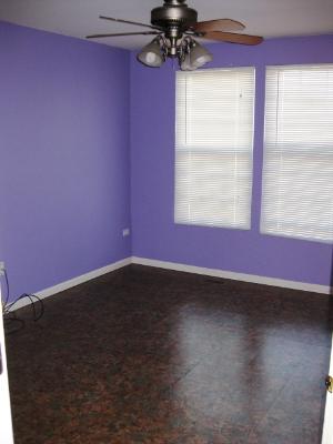 227 Tiger Street Bolingbrook, IL 60490 - Photo 12 of 12