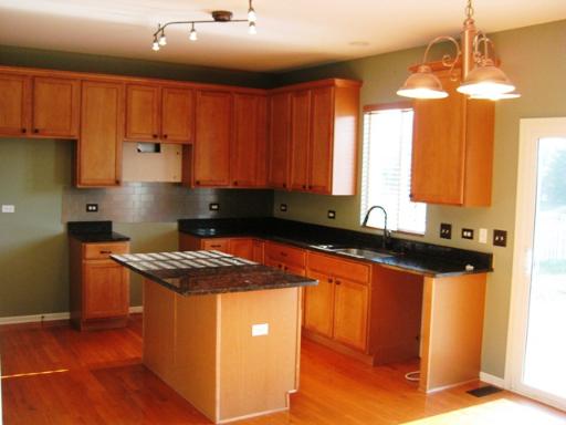 227 Tiger Street Bolingbrook, IL 60490 - Photo 3 of 12