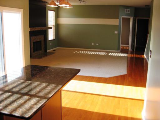 227 Tiger Street Bolingbrook, IL 60490 - Photo 4 of 12