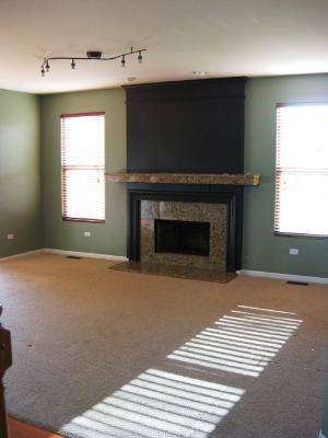 227 Tiger Street Bolingbrook, IL 60490 - Photo 5 of 12