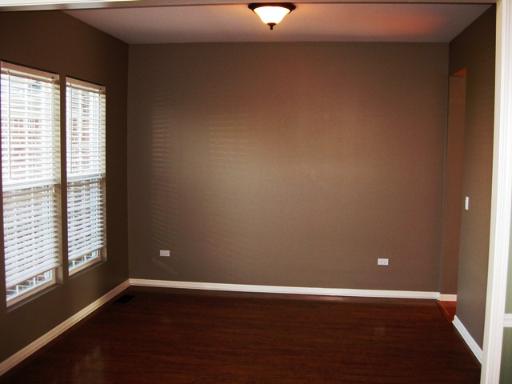 227 Tiger Street Bolingbrook, IL 60490 - Photo 7 of 12