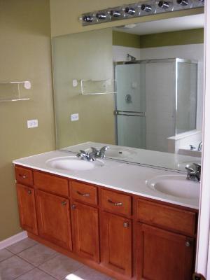 227 Tiger Street Bolingbrook, IL 60490 - Photo 9 of 12