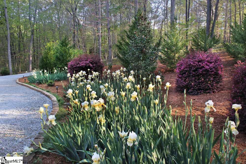 12 Jackson Grove South Landrum, SC 29356 - Photo 8 of 36 Gallery Image 8