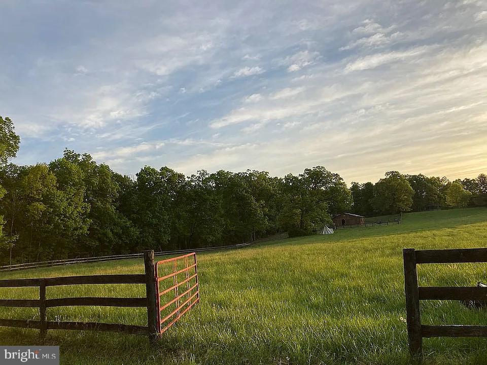 21733 Oatlands Road Aldie, VA 20105 - Photo 9 of 21 Established healthy pasture with run in shed