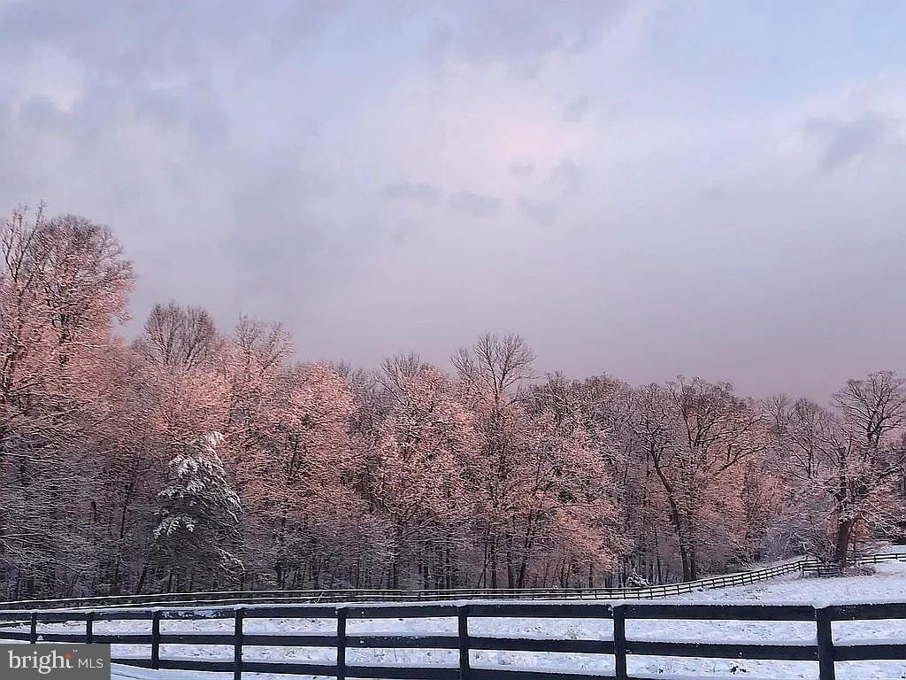 21733 Oatlands Road Aldie, VA 20105 - Photo 10 of 21 Pastoral and private