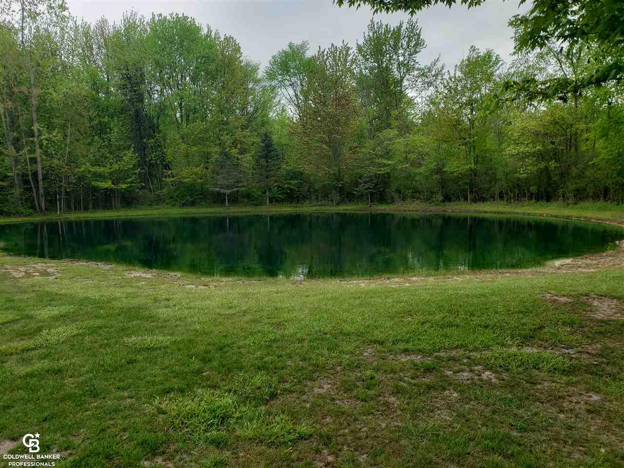 3605 Bricker Road Avoca, MI 48006 - Photo 15 of 23 Pond View 2