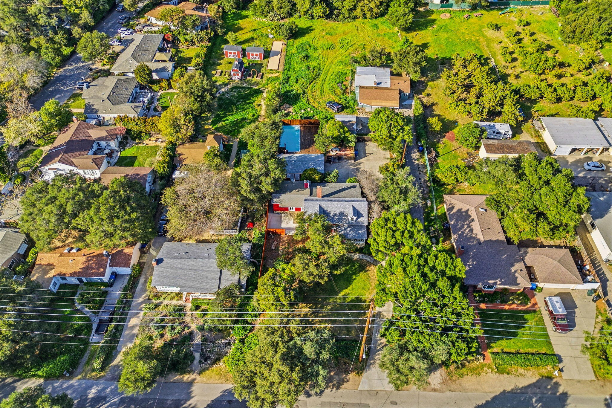 1225 Say Road Santa Paula, CA 93060 - Photo 45 of 45 a picture of flowers