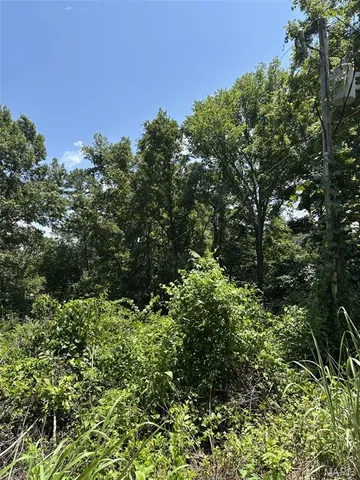 $57,000 | 9 Plat Run, Van Buren, MO 63965