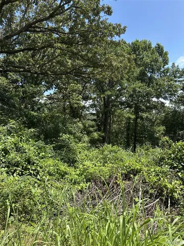 $57,000 | 9 Plat Run, Van Buren, MO 63965