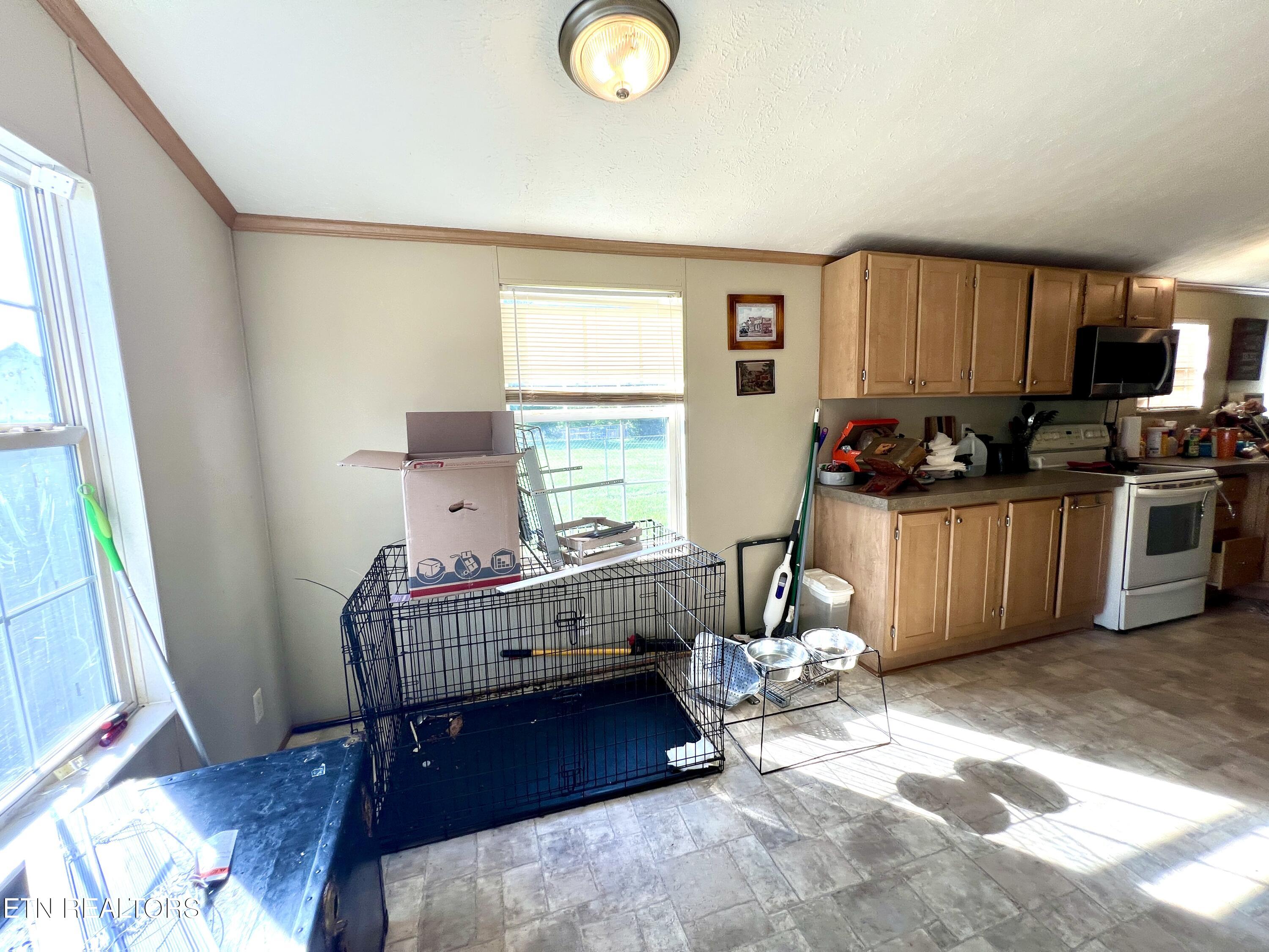 1228 Evans Valley Road Newport, TN 37821 - Photo 18 of 30 20260701_220603635_iOS