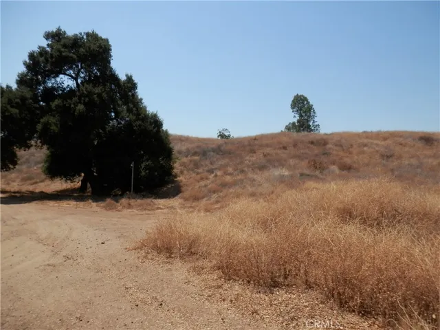 a view of a dry yard