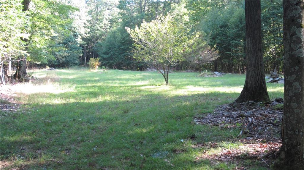 451 Coleman Station Road Friedens, PA 15541 - Photo 42 of 50 Gallery Image 42
