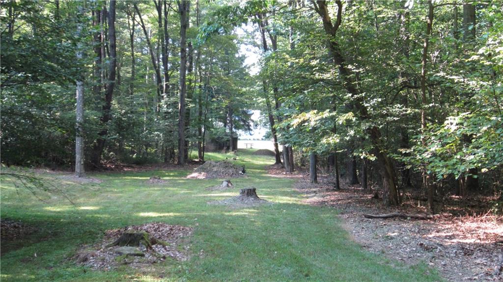 451 Coleman Station Road Friedens, PA 15541 - Photo 44 of 50 Gallery Image 44