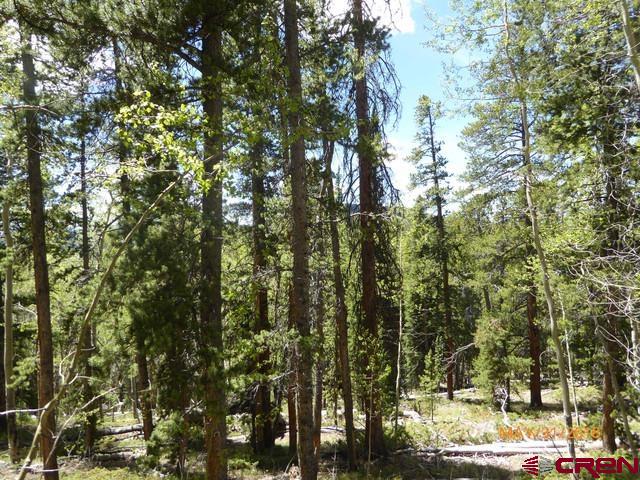 Tbd Tbd Golden Rule Road Pitkin, CO 81241 - Photo 3 of 4 Gallery Image 3
