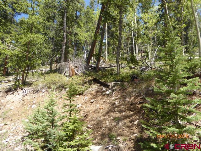 Tbd Tbd Golden Rule Road Pitkin, CO 81241 - Photo 4 of 4 Gallery Image 4