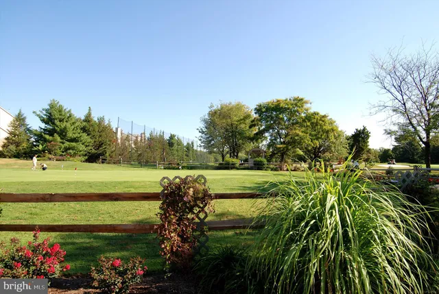 a view of a garden with an outdoor space
