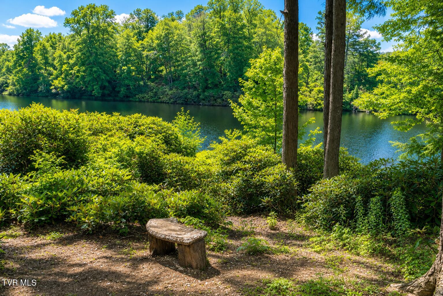 282 Ripshin Lake Road Roan Mountain, TN 37687 - Photo 20 of 72 Lake 4
