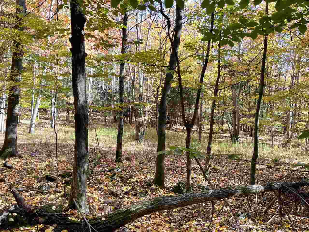 214 Bailey Road Jewett, NY 12444 - Photo 8 of 21 Photo 8