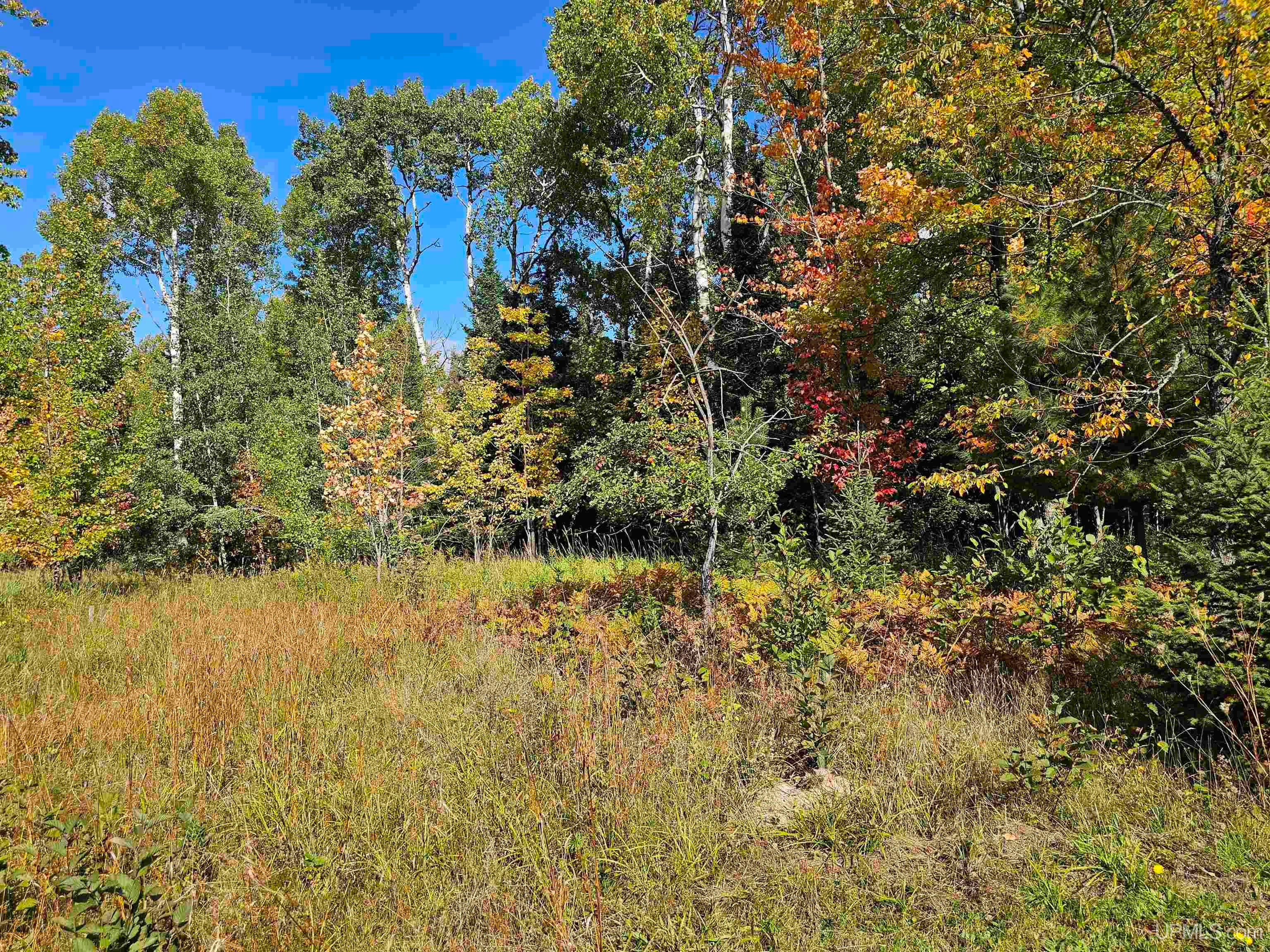 17811 Lee Road Lanse, MI 49946 - Photo 54 of 70 Gallery Image 54