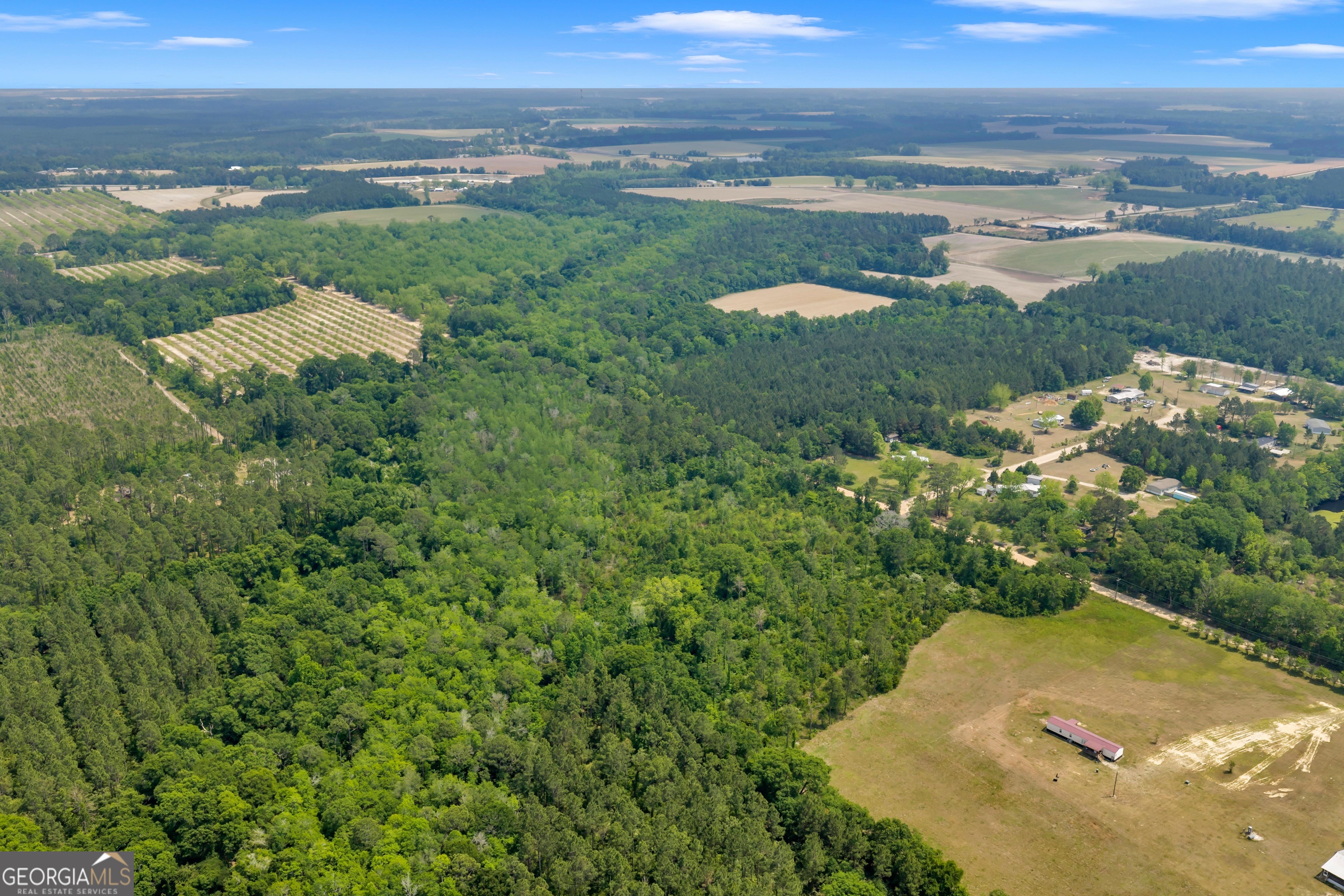 0 Ohio Road Fitzgerald, GA 31750 - Photo 6 of 11 a view of a lake with a city