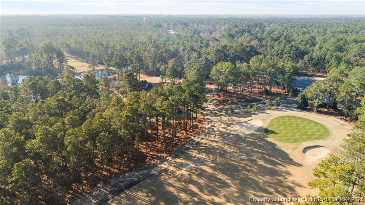 15620 Fox Lane Wagram, NC 28396 - Photo 11 of 44