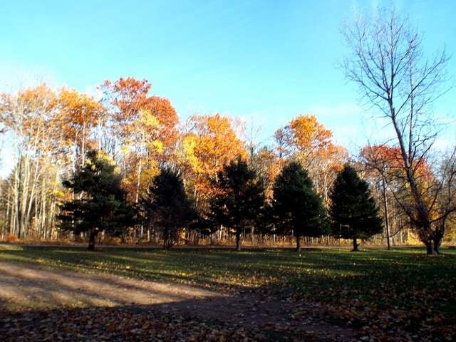 W11295 Byers Road Deerbrook, WI 54424 - Photo 20 of 20 Gallery Image 20