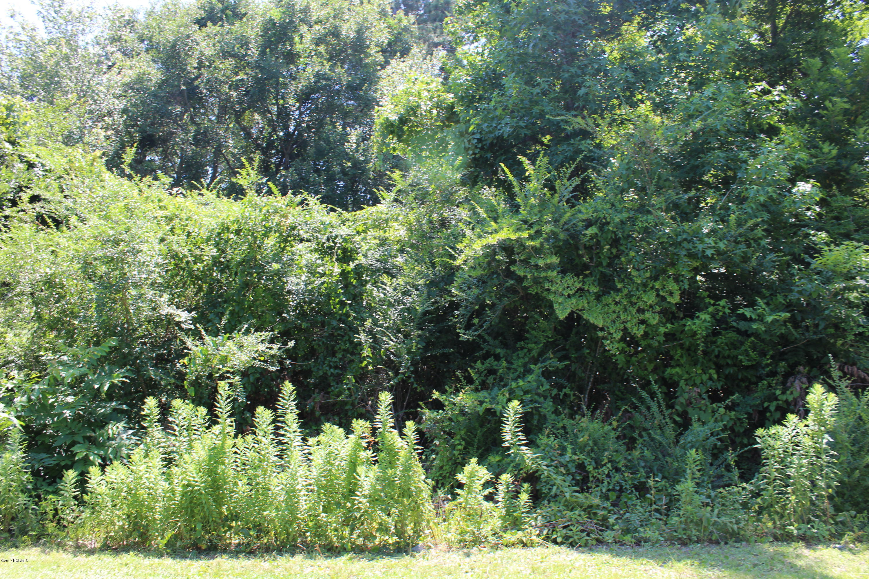 1124 Glancy Road Swansboro, NC 28584 - Photo 5 of 6 Lot