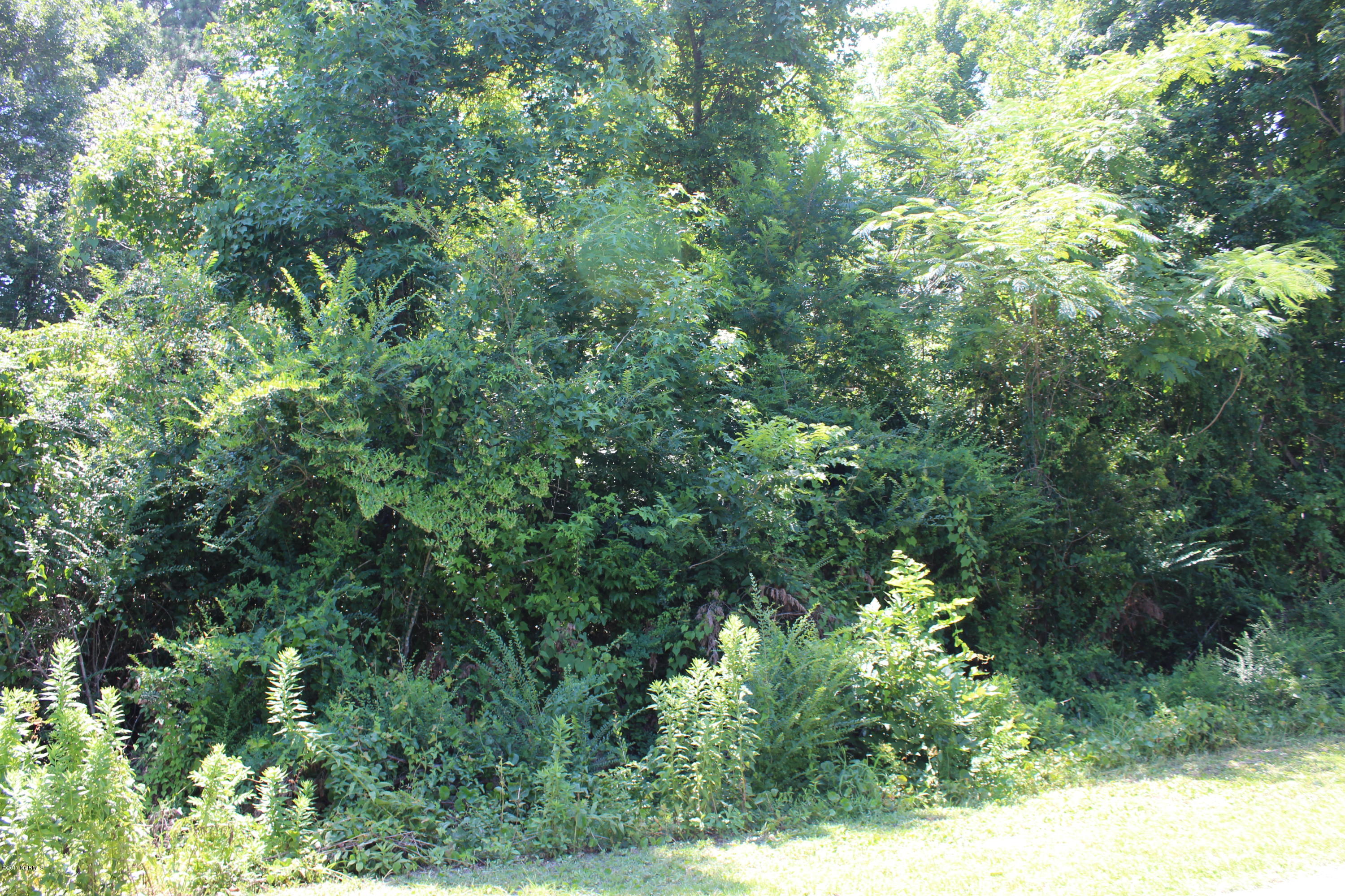 1124 Glancy Road Swansboro, NC 28584 - Photo 6 of 6 Lot