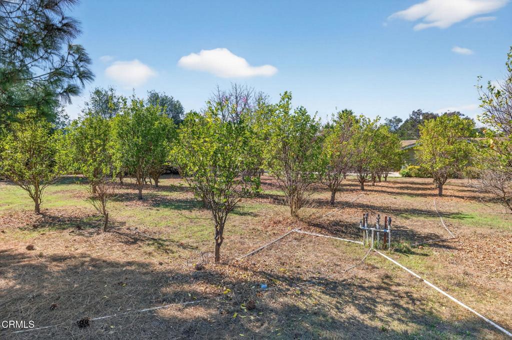 1125 Spring Street Oak View, CA 93022 - Photo 60 of 73 a view of a yard with plants and trees