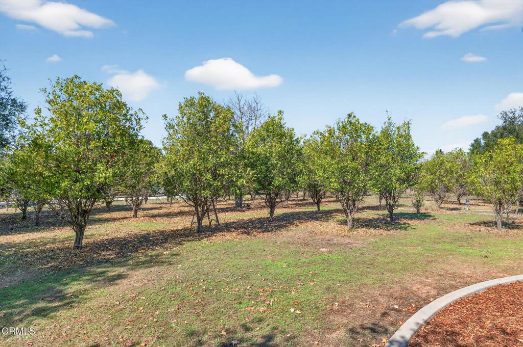 1125 Spring Street Oak View, CA 93022 - Photo 61 of 73 a view of outdoor space with garden view
