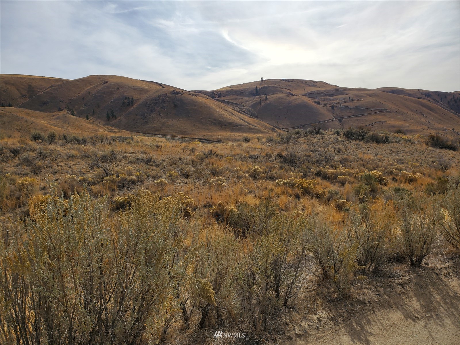 -nna Spring Canyon Road Orondo, WA 98843 - Photo 1 of 4 Gallery Image 1