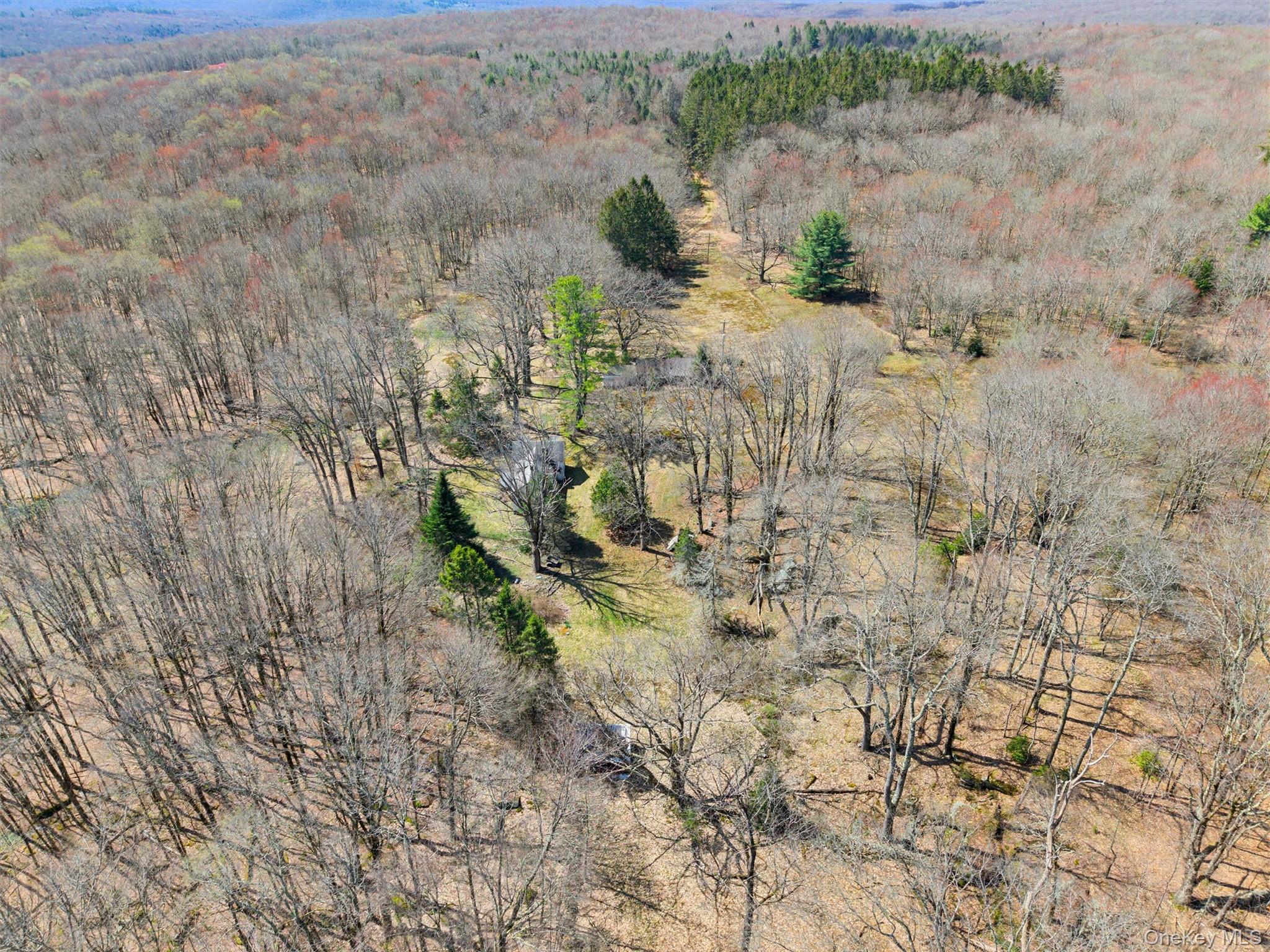 467 Old Hunter Road Livingston Manor, NY 12758 - Photo 26 of 32