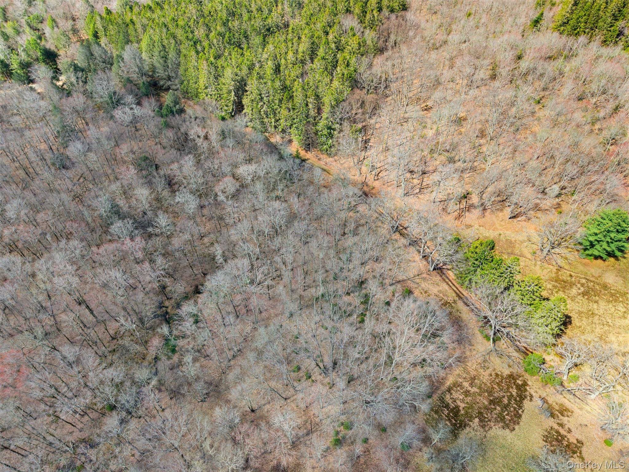 467 Old Hunter Road Livingston Manor, NY 12758 - Photo 29 of 32