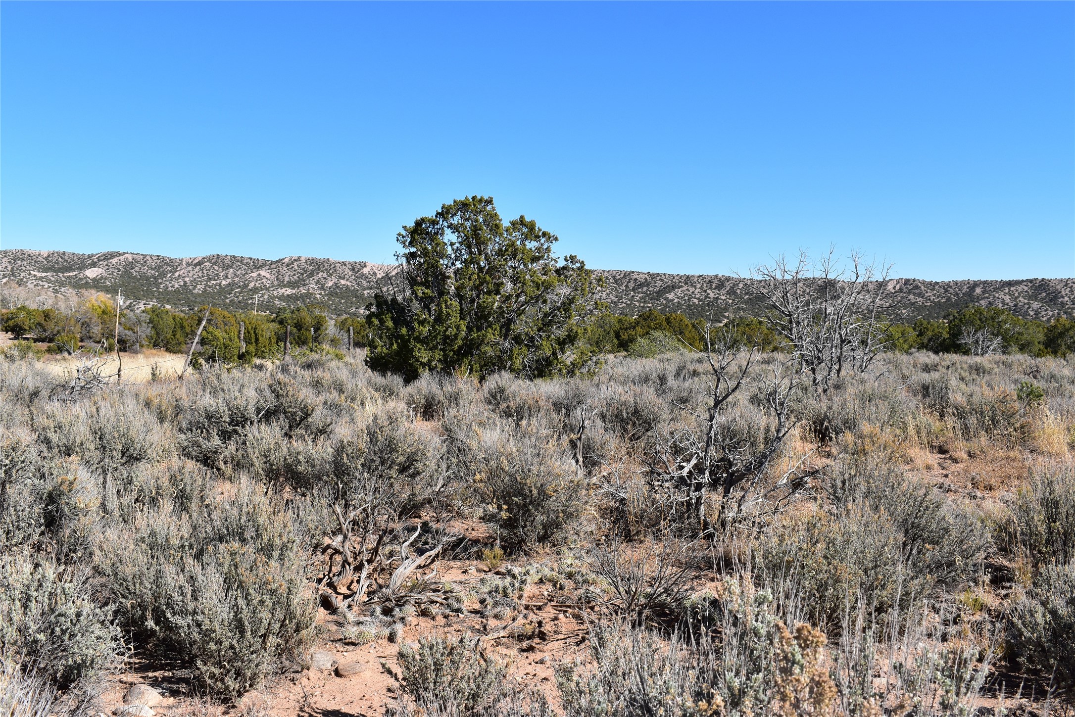 1684 A El Rito, NM 87530 - Photo 5 of 8