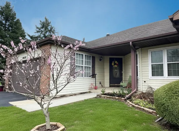 a view of house with a yard