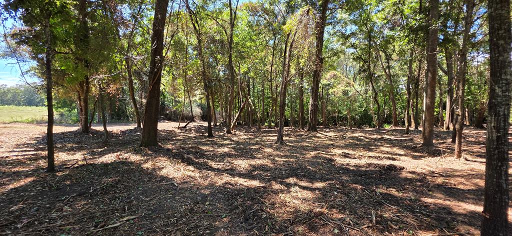 Lot 7 Acres Grady Garner Road Slocomb, AL 36375 - Photo 47 of 58