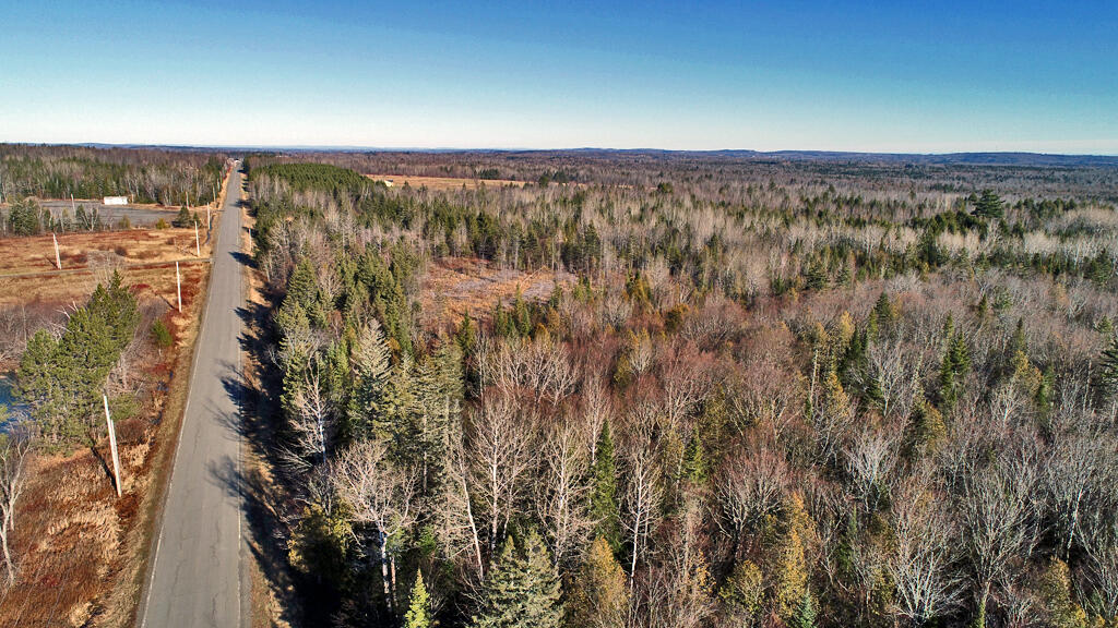 Lot 2-3 Us Rt 2a Road Linneus, ME 04730 - Photo 13 of 33 land-in-me-woods-1
