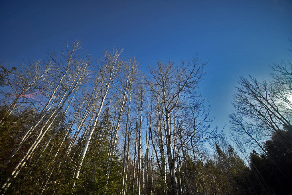 Lot 2-3 Us Rt 2a Road Linneus, ME 04730 - Photo 17 of 33 building-lot-maine-land